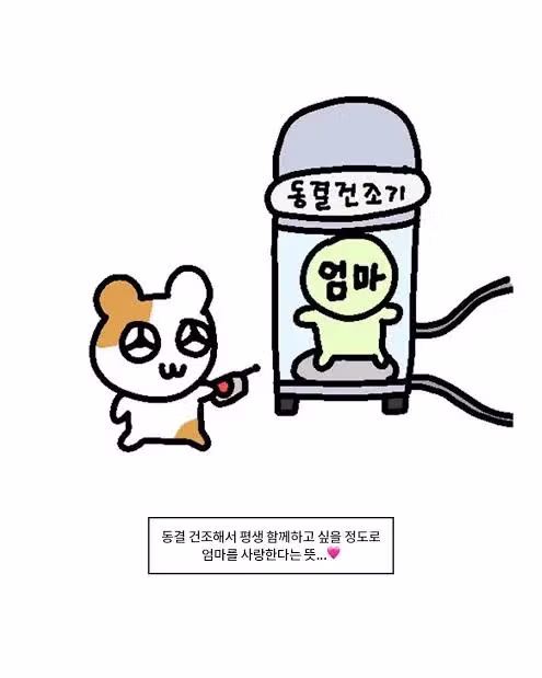 동결건조 되고 싶은 고3의 심정 - 개드립 인기글 이미지 3 - 밈카세