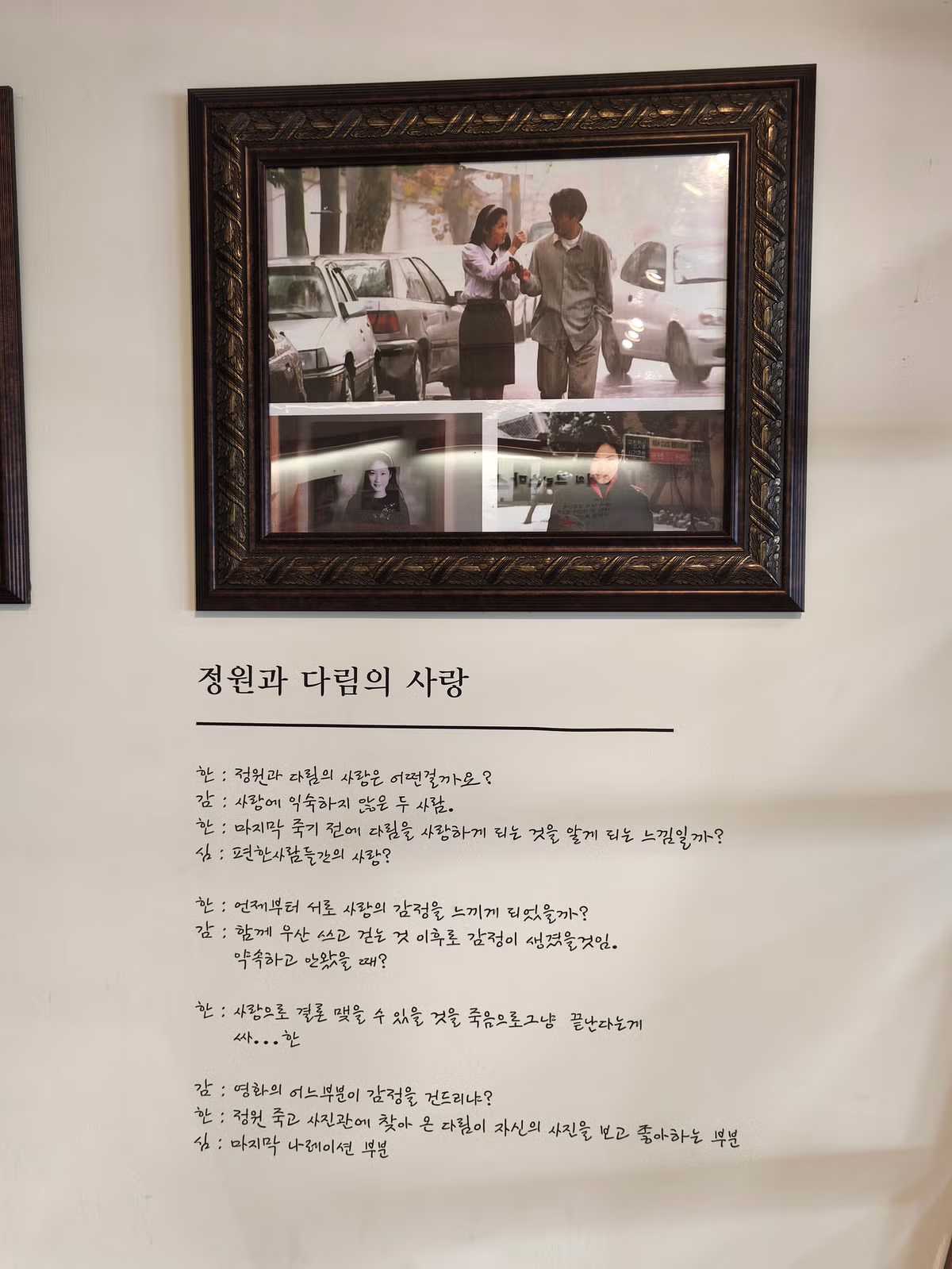 8윌의 크리스마스 초원사진관 ㅠㅠ - 보배드림 인기글 이미지 3 - 밈카세