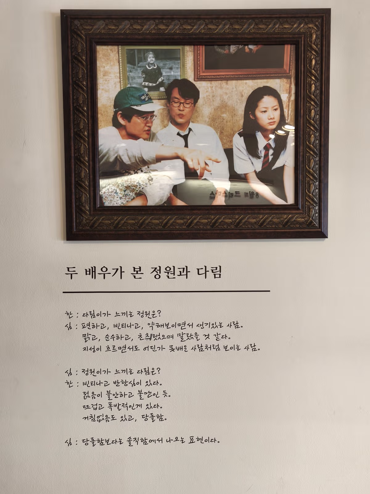 8윌의 크리스마스 초원사진관 ㅠㅠ - 보배드림 인기글 이미지 4 - 밈카세
