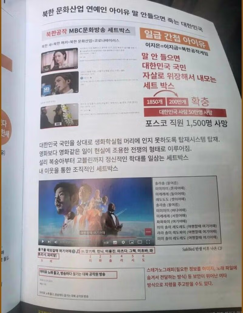 아이유 악플러들이 실형을 선고받은 이유 - 보배드림 인기글 이미지 2 - 밈카세