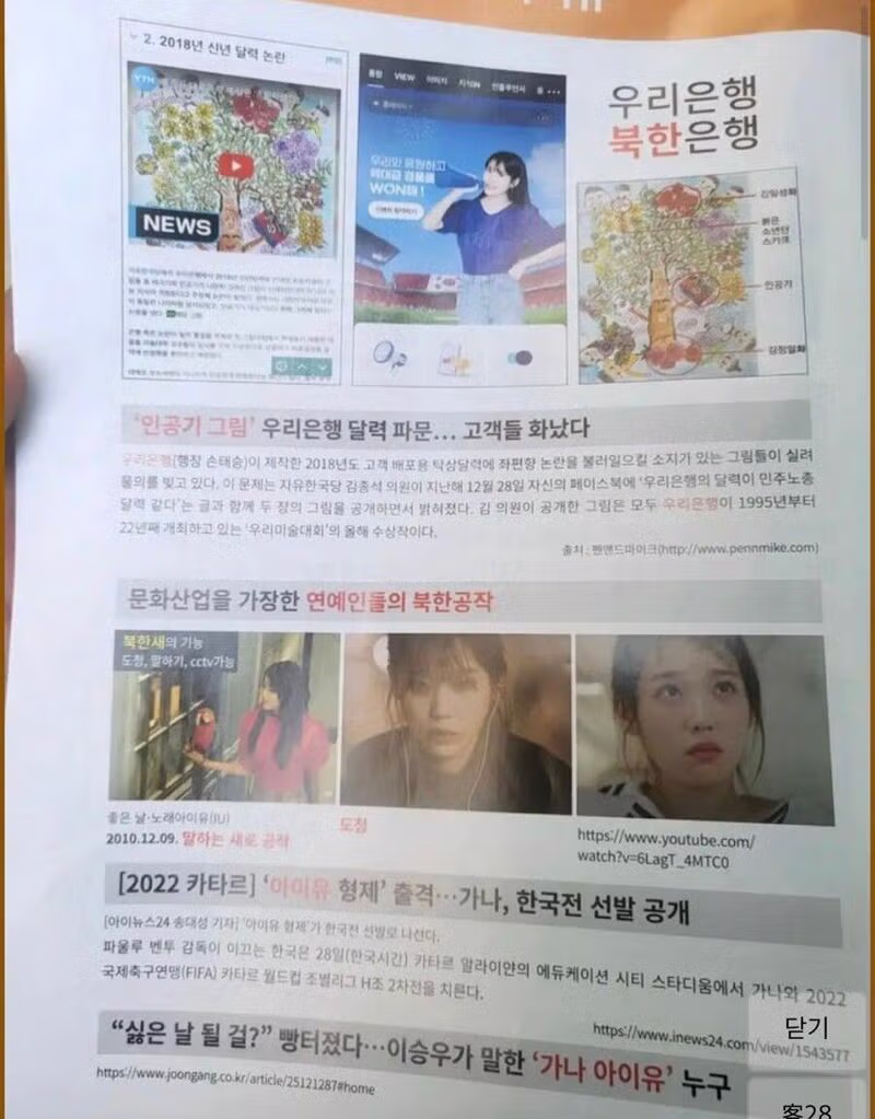 아이유 악플러들이 실형을 선고받은 이유 - 보배드림 인기글 이미지 3 - 밈카세