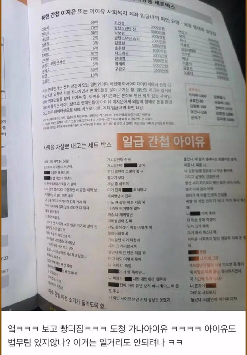 아이유 악플러들이 실형을 선고받은 이유 - 보배드림 인기글 이미지 4 - 밈카세