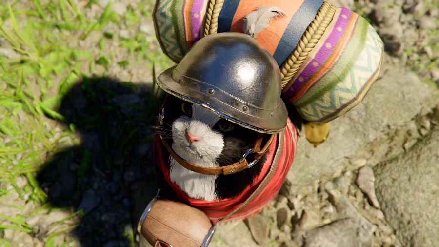 붉은사막)재평가 사유. 3