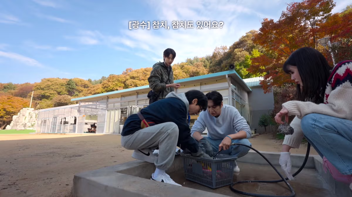 김치볶음밥의 영원한 난제 스팸과 참치 중 선택은 - 디시인사이드 인기글 이미지 3 - 밈카세