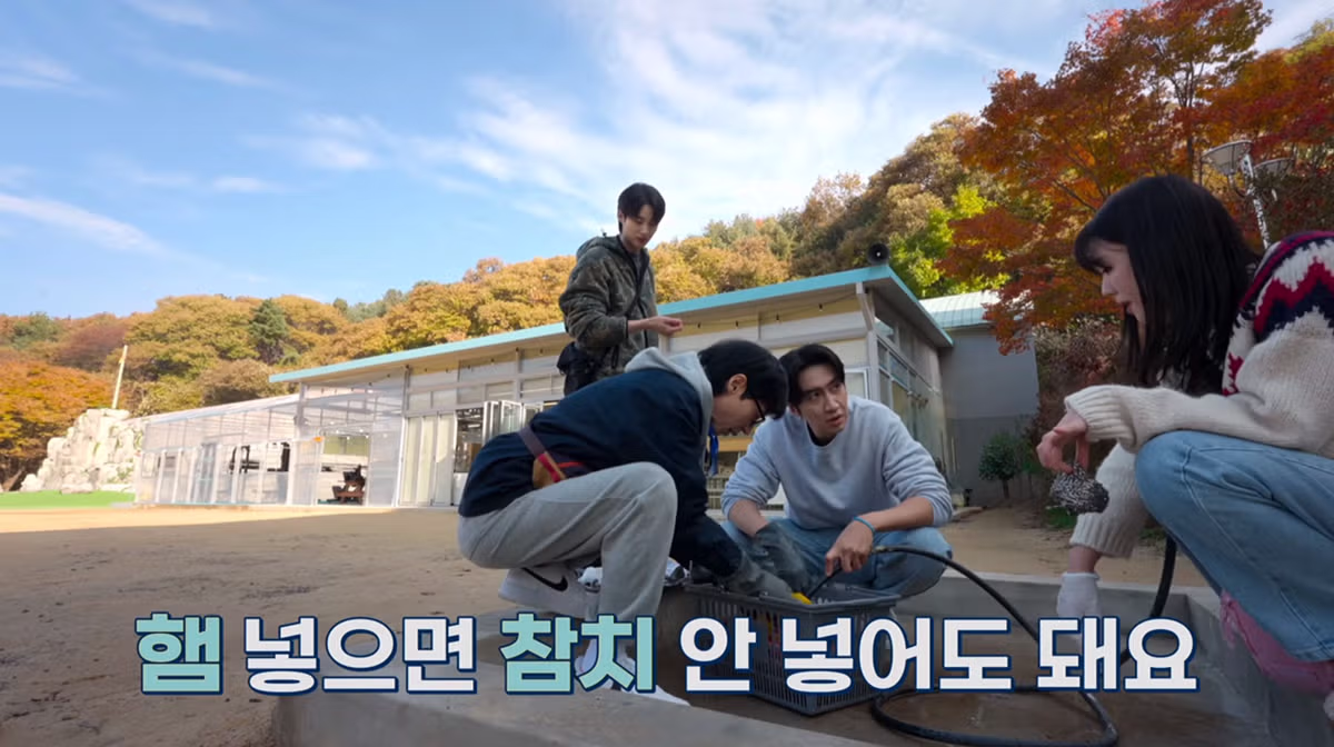 김치볶음밥의 영원한 난제 스팸과 참치 중 선택은 - 디시인사이드 인기글 이미지 4 - 밈카세