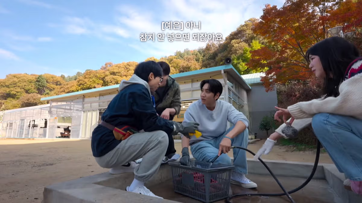 김치볶음밥의 영원한 난제 스팸과 참치 중 선택은 - 디시인사이드 인기글 이미지 12 - 밈카세