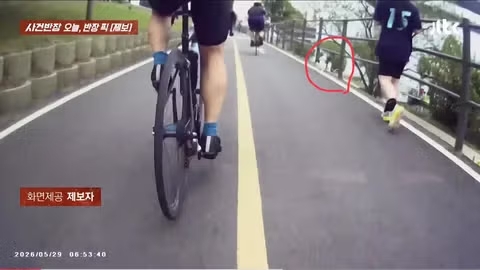 한강공원 자전거 도로 옆 고양이 집으로 인한 위험 상황 - 인벤 인기글 이미지 1 - 밈카세