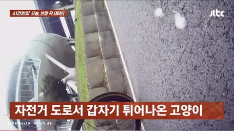 한강공원 자전거 도로 옆 고양이 집으로 인한 위험 상황 - 인벤 인기글 이미지 6 - 밈카세