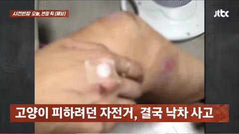 한강공원 자전거 도로 옆 고양이 집으로 인한 위험 상황 - 인벤 인기글 이미지 7 - 밈카세