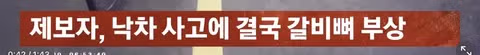한강공원 자전거 도로 옆 고양이 집으로 인한 위험 상황 - 인벤 인기글 이미지 8 - 밈카세