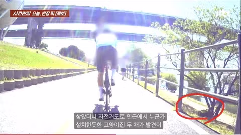 한강공원 자전거 도로 옆 고양이 집으로 인한 위험 상황 - 인벤 인기글 이미지 9 - 밈카세