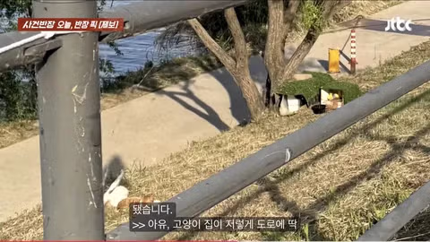 한강공원 자전거 도로 옆 고양이 집으로 인한 위험 상황 - 인벤 인기글 이미지 10 - 밈카세