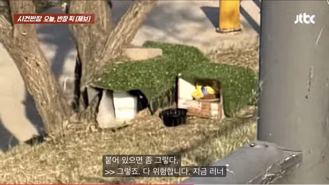 한강공원 자전거 도로 옆 고양이 집으로 인한 위험 상황 - 인벤 인기글 이미지 11 - 밈카세