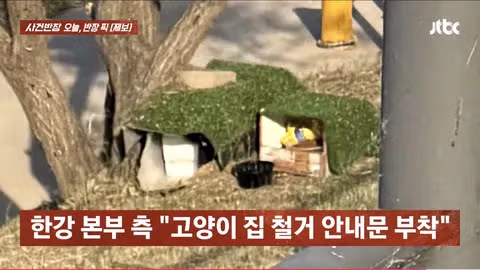 한강공원 자전거 도로 옆 고양이 집으로 인한 위험 상황 - 인벤 인기글 이미지 12 - 밈카세