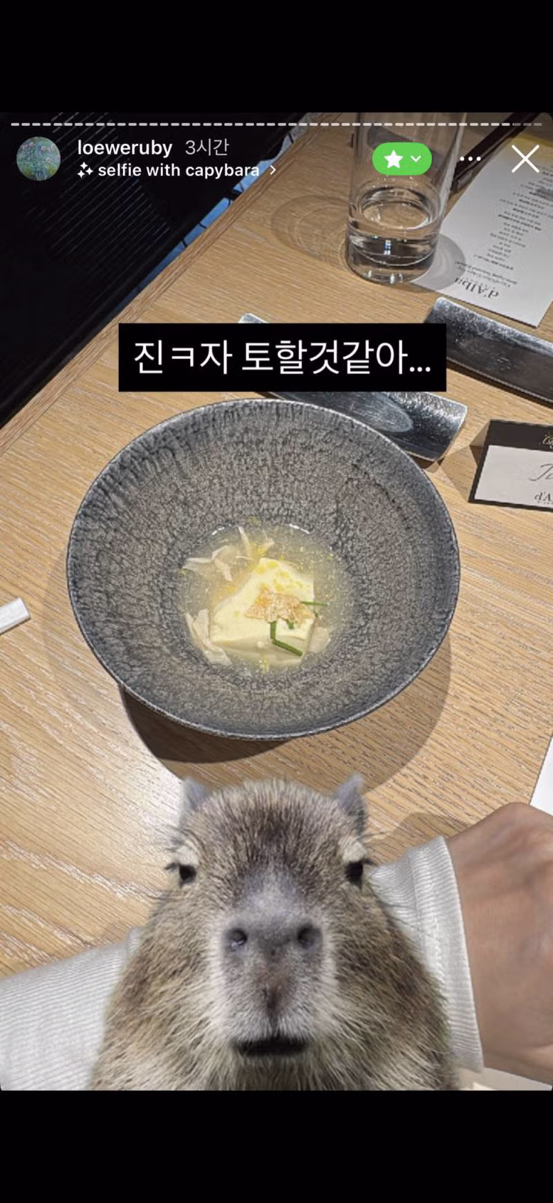 유출된 핱시 김지민의 친한 친구 전용 스토리 - 디시인사이드 인기글 이미지 9 - 밈카세