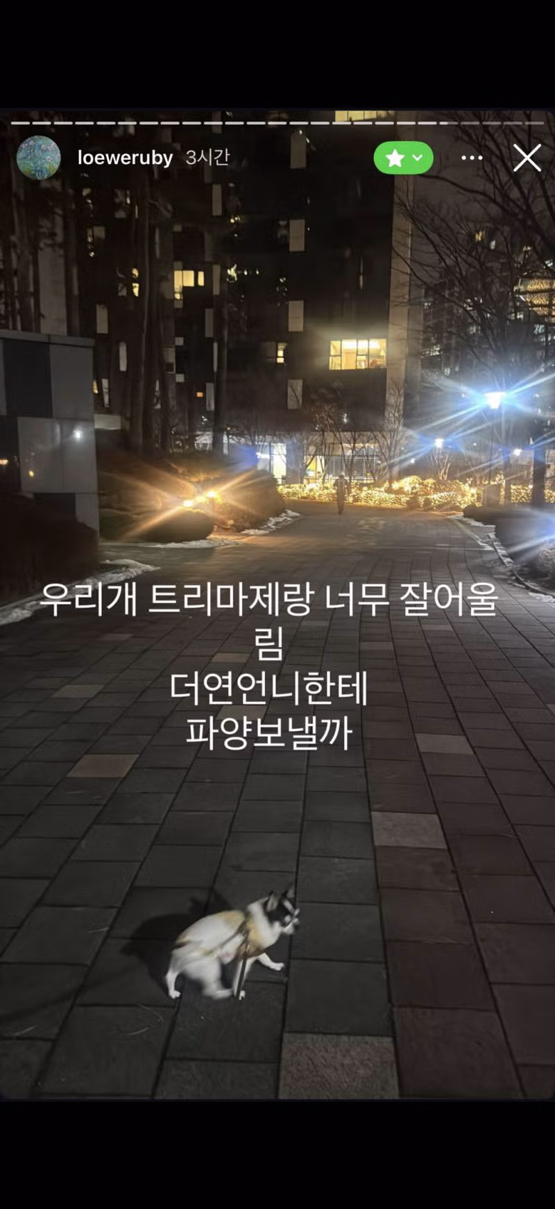 유출된 핱시 김지민의 친한 친구 전용 스토리 - 디시인사이드 인기글 이미지 20 - 밈카세