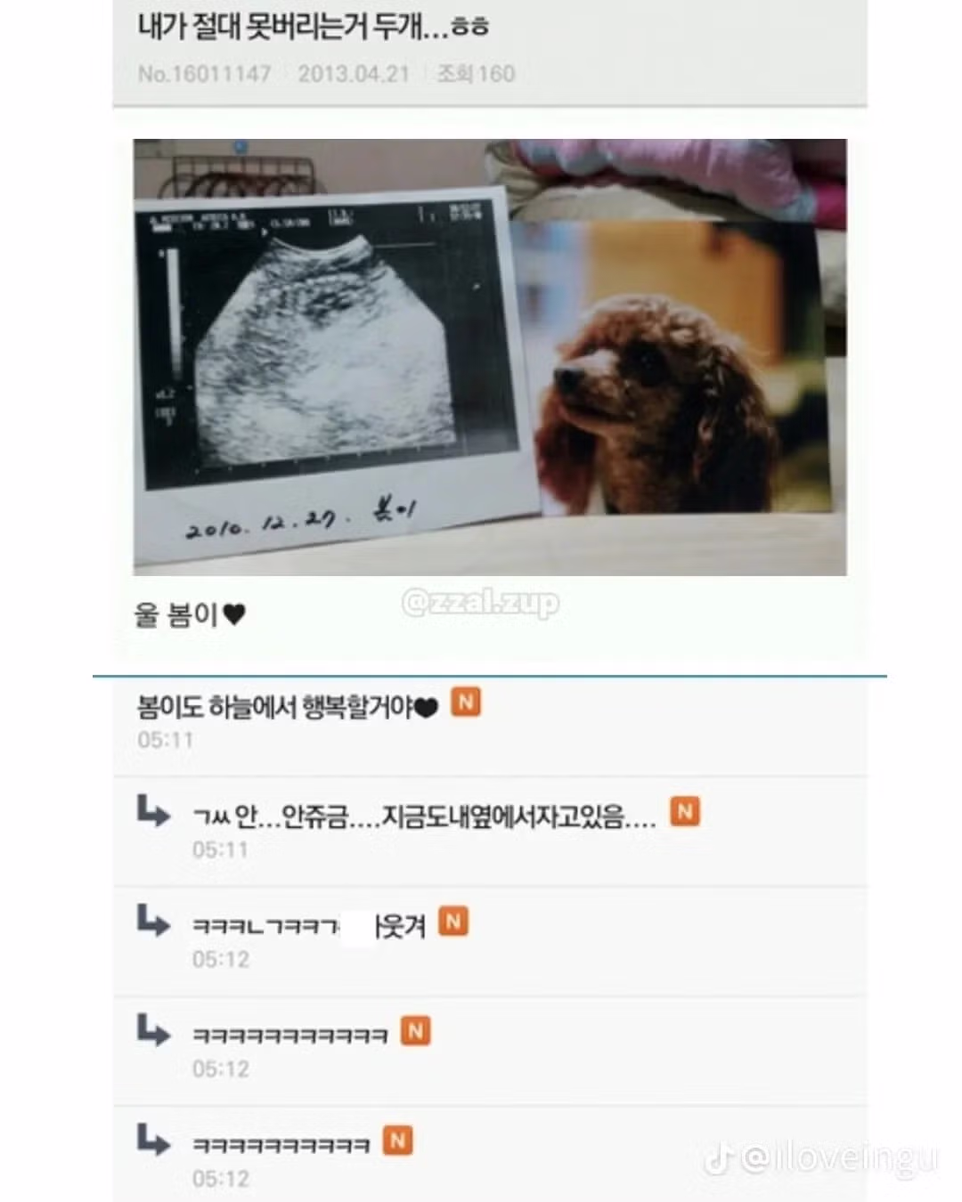 다양한 유머 짤 모음 - 클리앙 인기글 이미지 6 - 밈카세