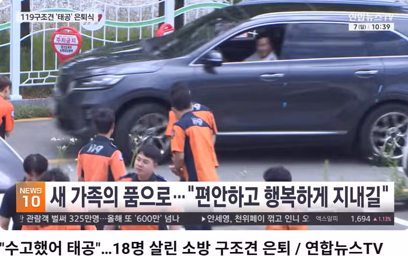 18명을 구한 영웅 구조견 태공이의 은퇴 - MLB파크 인기글 이미지 3 - 밈카세