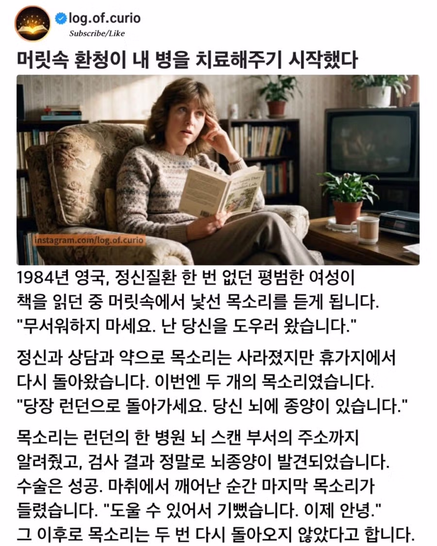 환청 덕분에 목숨을 건진 여성의 사연 - 인벤 인기글 이미지 1 - 밈카세