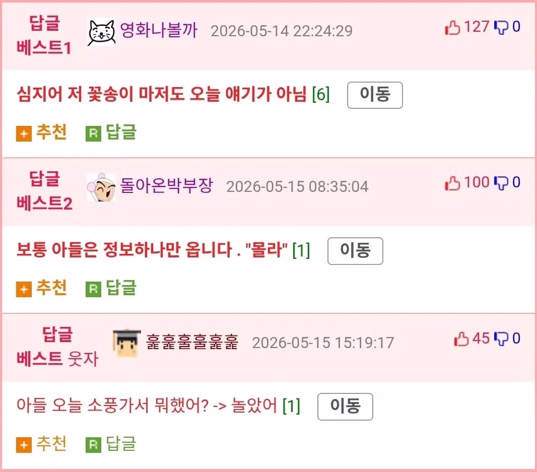 아들과 딸의 현실적인 차이점 - SLR클럽 인기글 이미지 3 - 밈카세