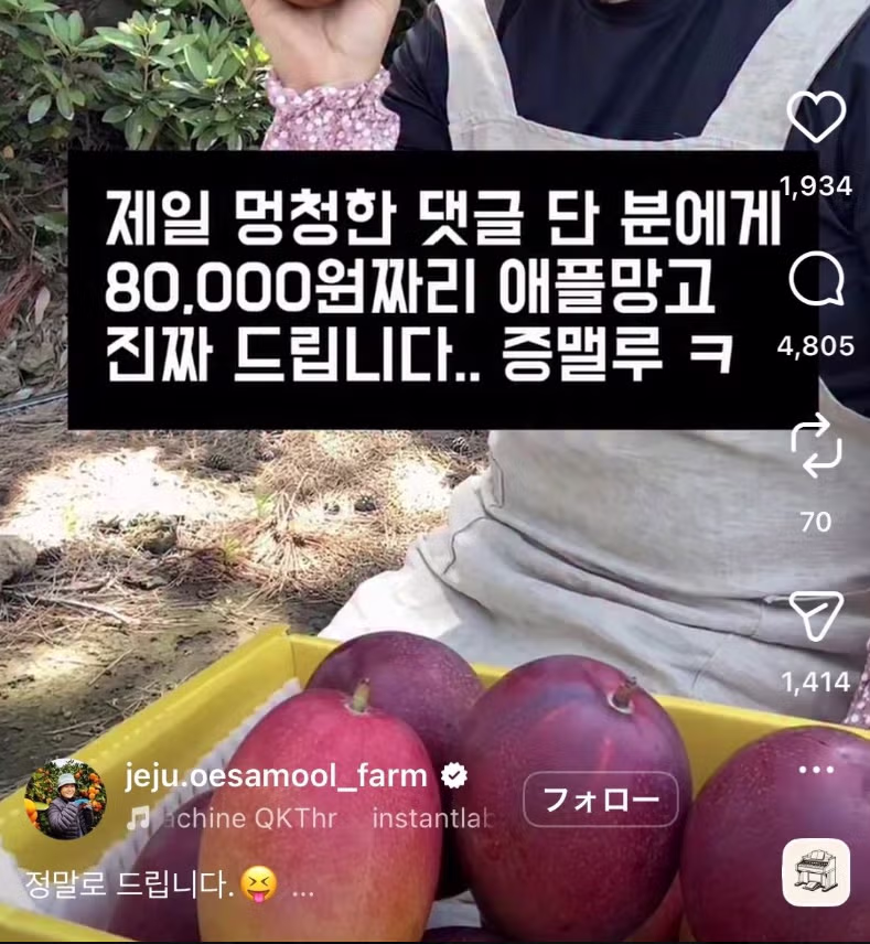 멍청한 댓글을 남긴 분께 애플망고를 드립니다 - 뽐뿌 인기글 이미지 1 - 밈카세