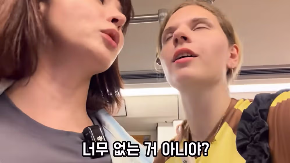 구잘의 인도 지하철 체험기 - MLB파크 인기글 이미지 3 - 밈카세