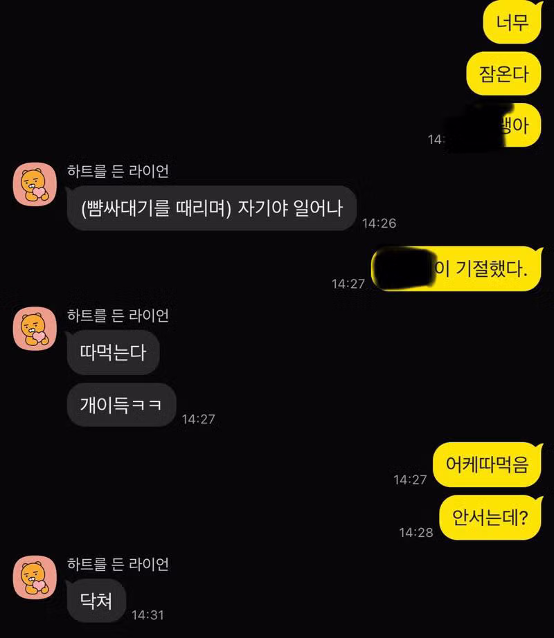 아내와 나눈 웃긴 카톡 대화 모음 - 인벤 인기글 이미지 1 - 밈카세