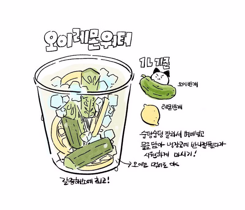 여름철 매일 마시기 좋은 가성비 홈메이드 음료 - 더쿠 인기글 이미지 2 - 밈카세