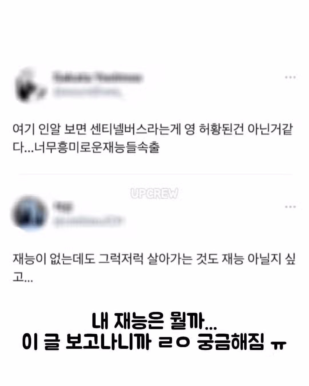동생이 두부장인.jpg 13