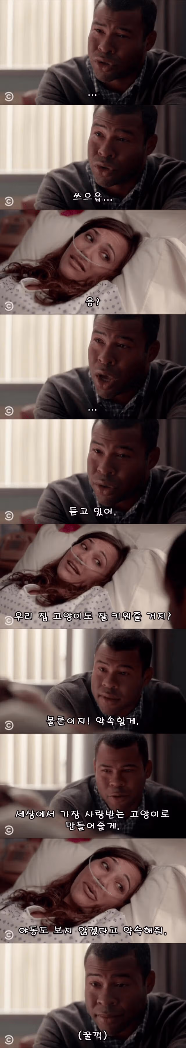 죽음을 앞둔 아내와 약속 2