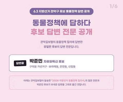관악구 지선 후보들의 캣맘 표심으로 인한 변화 - 인벤 인기글 이미지 4 - 밈카세