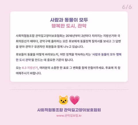 관악구 지선 후보들의 캣맘 표심으로 인한 변화 - 인벤 인기글 이미지 8 - 밈카세