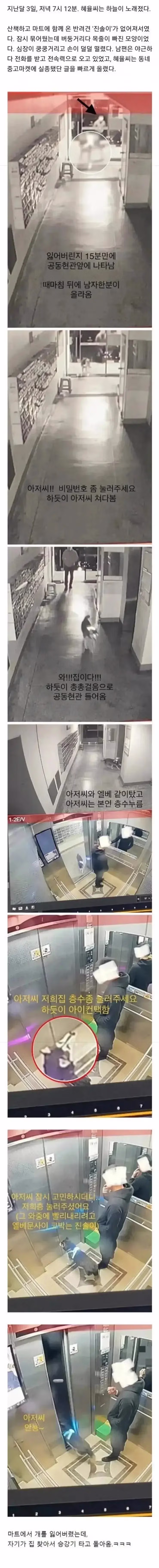 마트에서 반려견을 잃어버린 사연 - 뽐뿌 인기글 이미지 1 - 밈카세