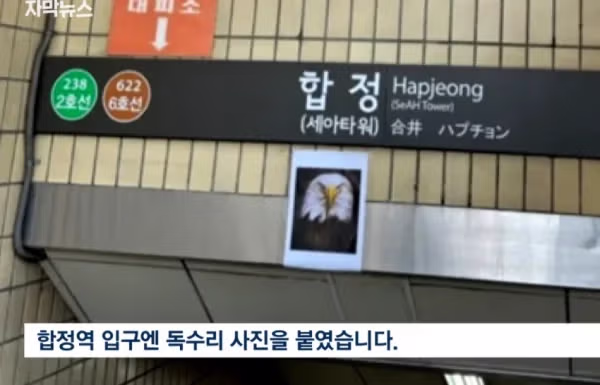 지하철역에 자꾸 들어오는 비둘기 - 클리앙 인기글 이미지 2 - 밈카세