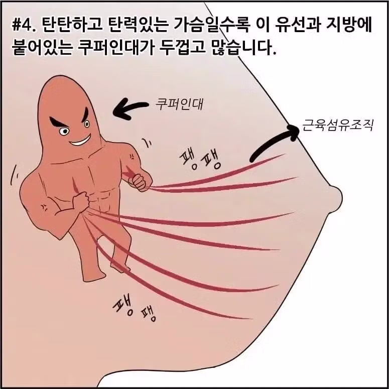 가슴이 처지는 이유 - 인스티즈 인기글 이미지 2 - 밈카세