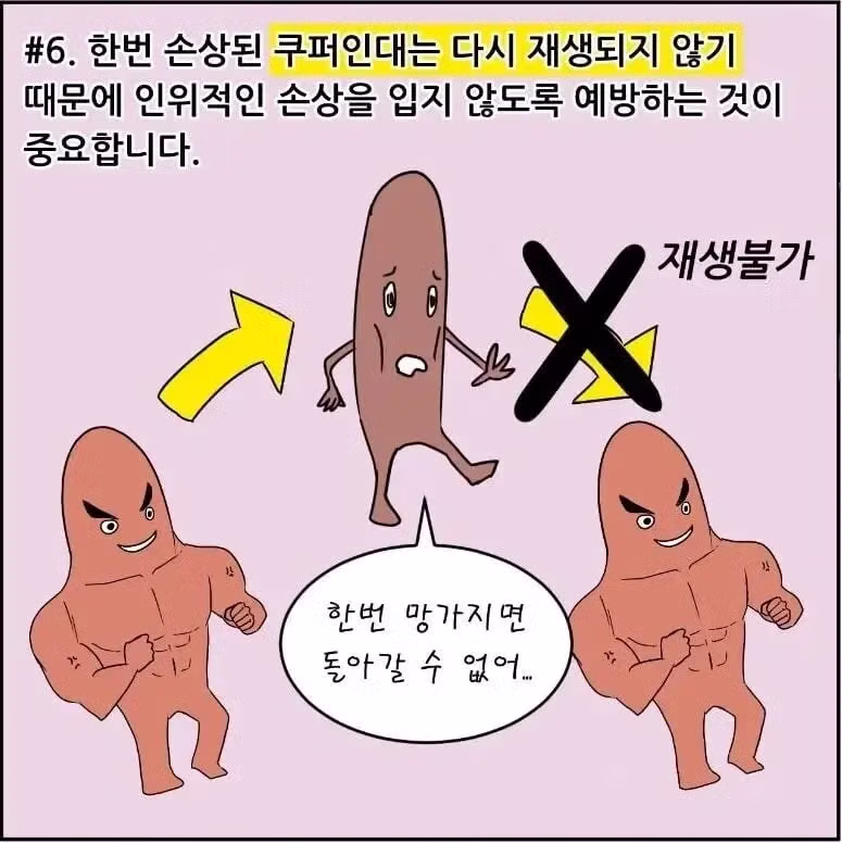 가슴이 처지는 이유 - 인스티즈 인기글 이미지 4 - 밈카세