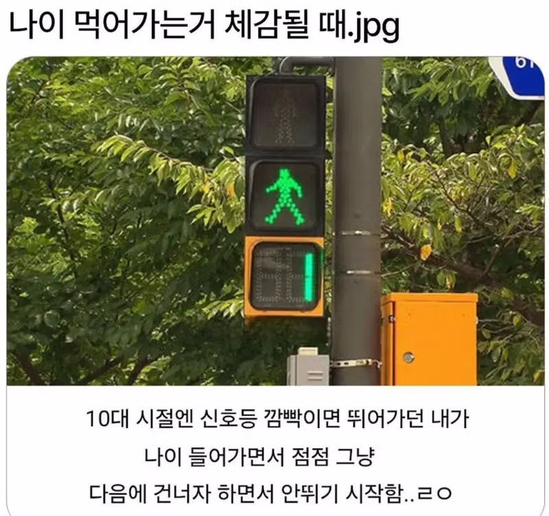 나이 듦이 체감되는 순간들 - 보배드림 인기글 이미지 1 - 밈카세