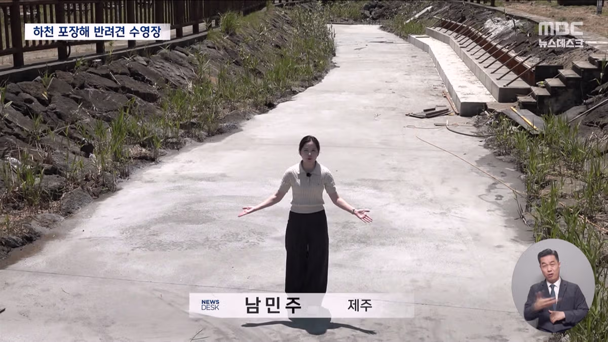 제주도의 놀라운 행보 - 개드립 인기글 이미지 6 - 밈카세