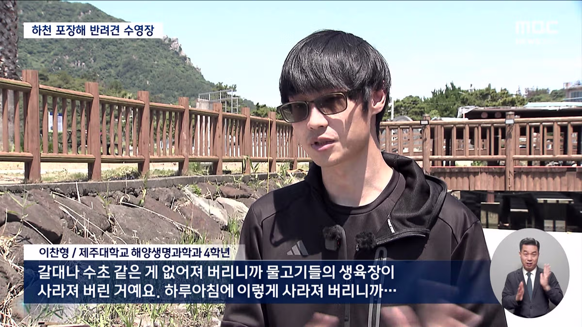 제주도의 놀라운 행보 - 개드립 인기글 이미지 7 - 밈카세