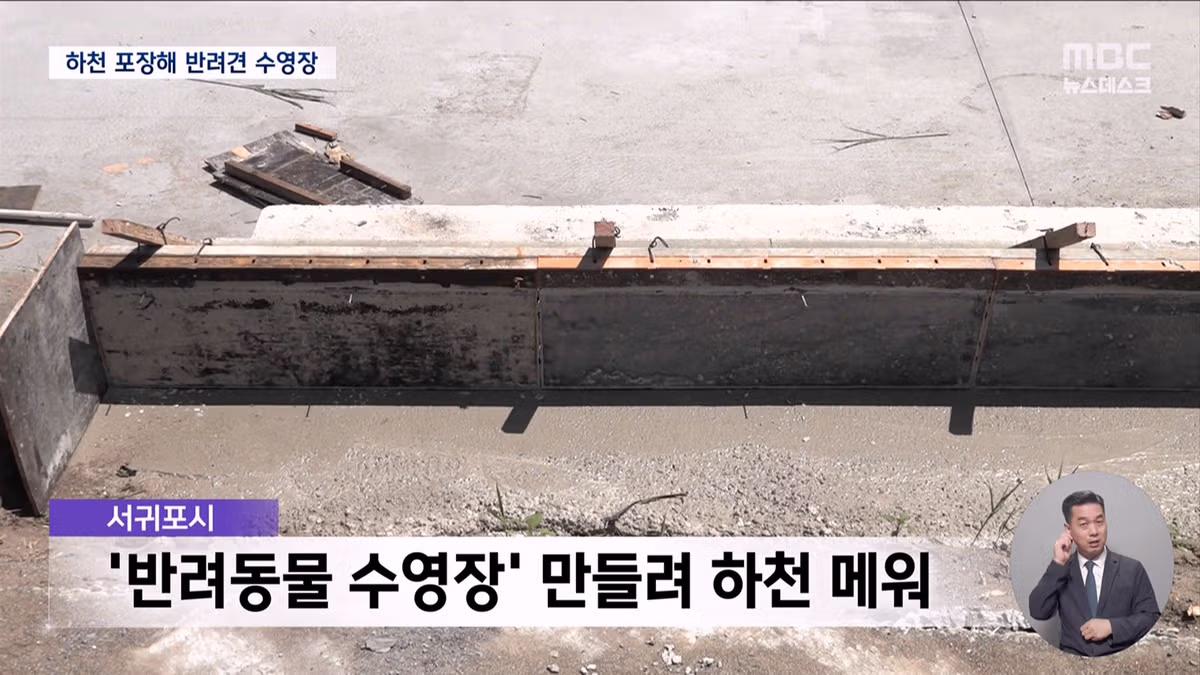 제주도의 놀라운 행보 - 개드립 인기글 이미지 8 - 밈카세