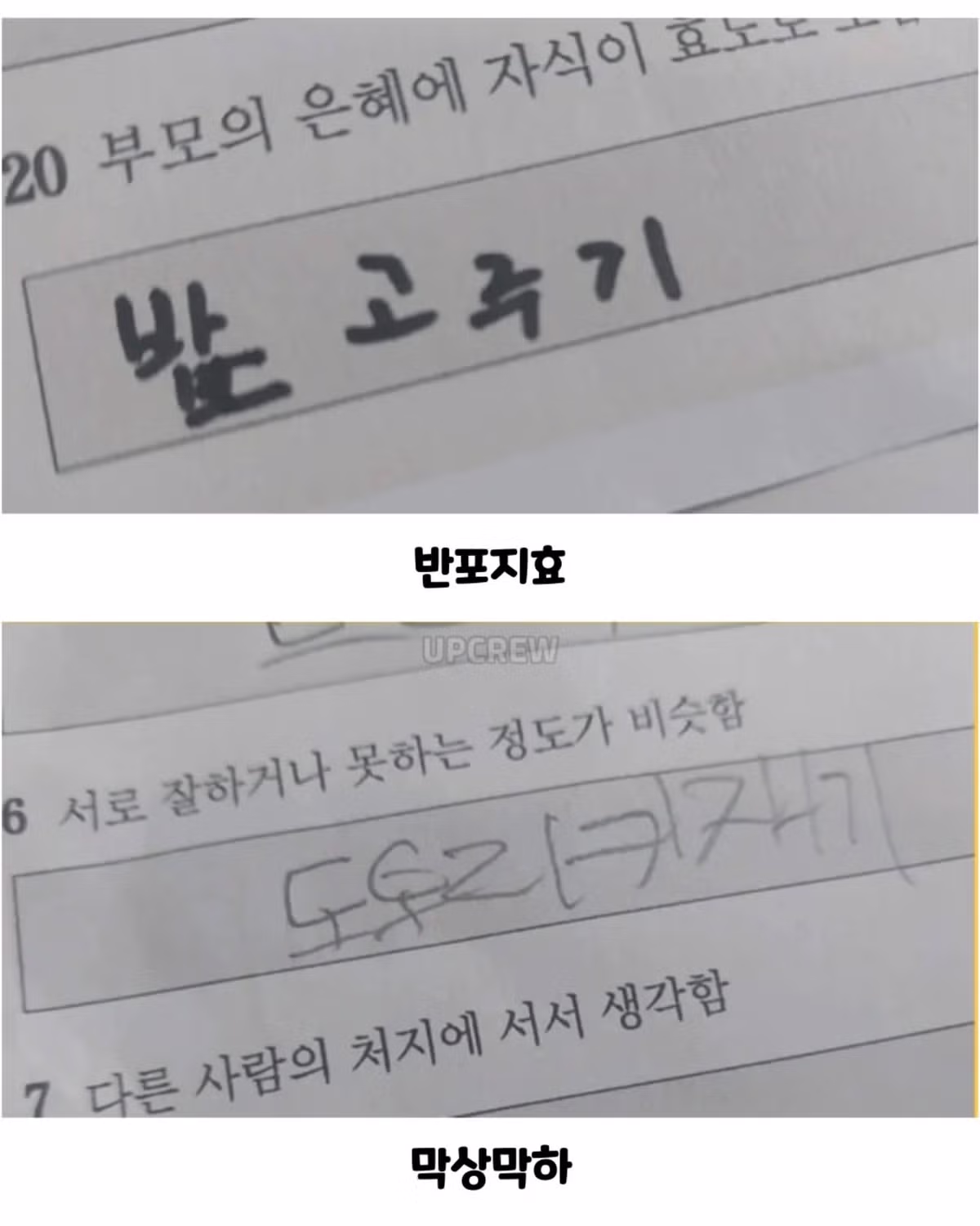 사자성어 시험본 초등학생들 - 인벤 인기글 이미지 2 - 밈카세