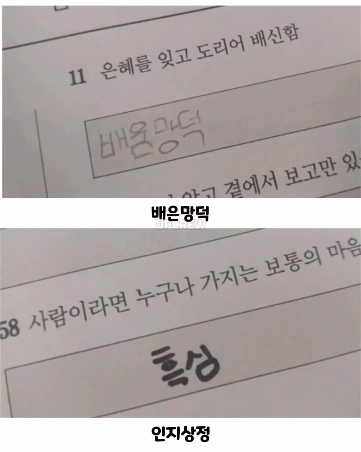 사자성어 시험본 초등학생들 - 인벤 인기글 이미지 3 - 밈카세