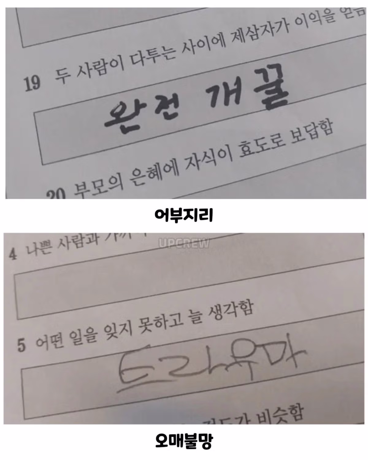 사자성어 시험본 초등학생들 - 인벤 인기글 이미지 5 - 밈카세