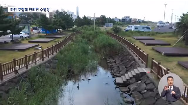제주 서귀포시 하천을 강아지 수영장으로 만든 사례 논란 - 디시인사이드 인기글 이미지 2 - 밈카세