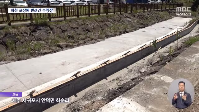 제주 서귀포시 하천을 강아지 수영장으로 만든 사례 논란 - 디시인사이드 인기글 이미지 5 - 밈카세