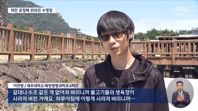 제주 서귀포시 하천을 강아지 수영장으로 만든 사례 논란 - 디시인사이드 인기글 이미지 7 - 밈카세