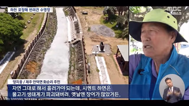제주 서귀포시 하천을 강아지 수영장으로 만든 사례 논란 - 디시인사이드 인기글 이미지 8 - 밈카세