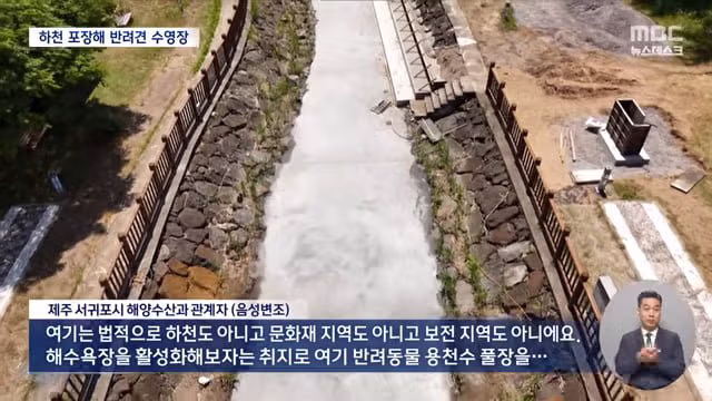제주 서귀포시 하천을 강아지 수영장으로 만든 사례 논란 - 디시인사이드 인기글 이미지 9 - 밈카세