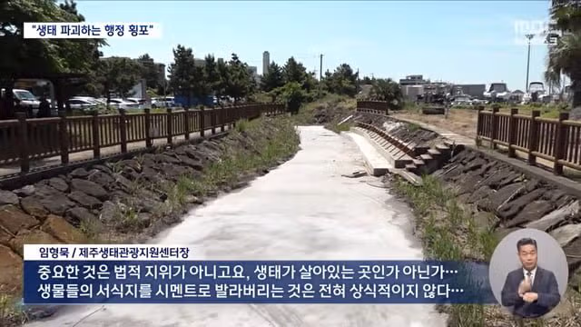 제주 서귀포시 하천을 강아지 수영장으로 만든 사례 논란 - 디시인사이드 인기글 이미지 10 - 밈카세