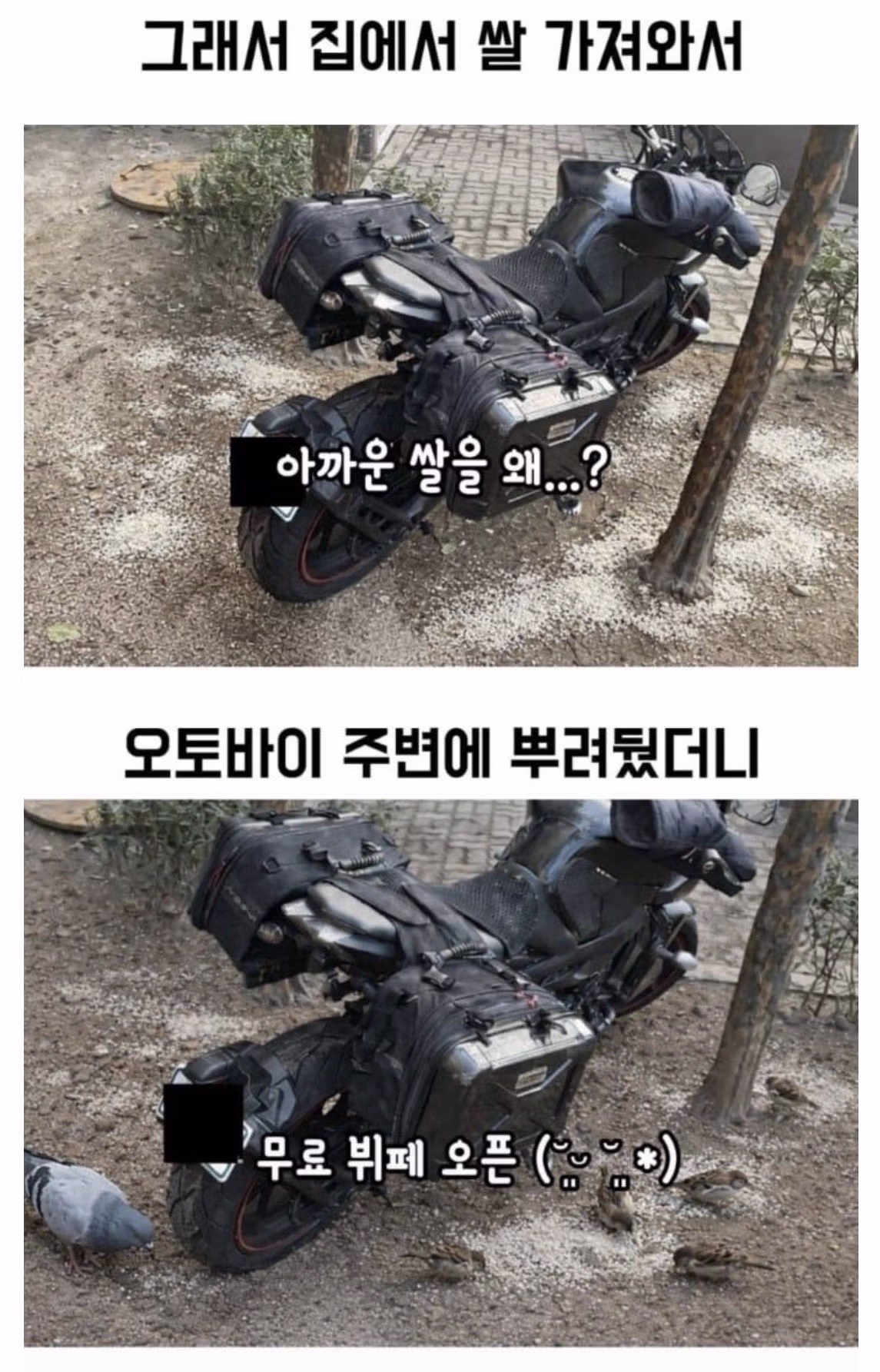 현명한 무단주차 해결방법.jpg 3